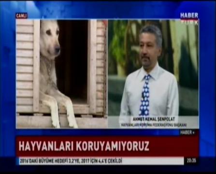 Hayvan Haklarında Gözler TBMM'de-2016