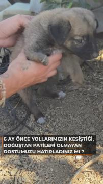 Kurtarma Öykülerimiz