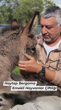 Haytap Bergama Emekli Hayvanlar Çiftliği’nden herkese mutlu hafta sonları