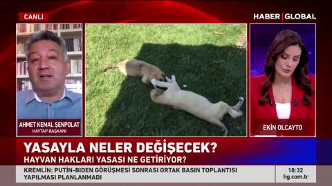 Yasanın değiştiğini ertesi günü Haytap olarak yeniden bu yasa da değişsin diye kampanyaya başlayacağ