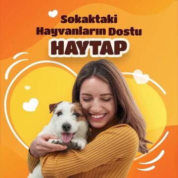 Sokaktaki hayvanların dostu Haytap ???? Eti benimo????