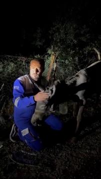 Haytap Yangın Kurtarma Çalışmaları