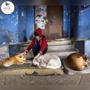 Dostluk Kumbarası ile onlara elini uzatır mısınız?