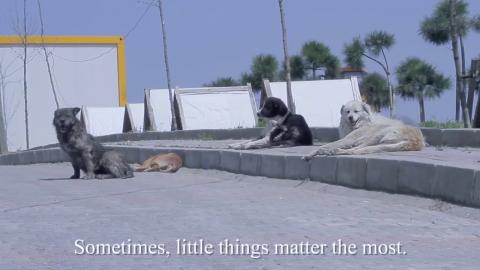 Migros Haytap cooperation ( with eng subtitles )