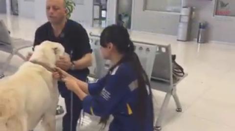 O, artık huzurlu...