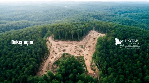 Bozulan sadece doğanın dengesi değil…