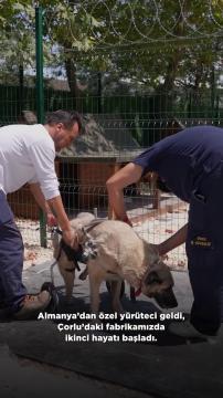 Kurtarma Öykülerimiz