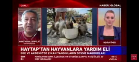 Veteriner hekimlik asla 2. Sınıf bir meslek grubu değildir.