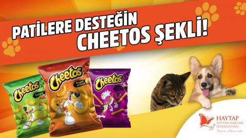 Cheetos & Haytap