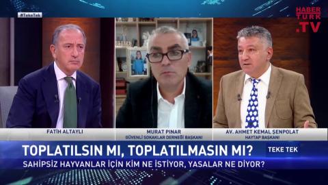 Başıboş İnsan Sorunu