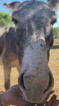 Kurtarma Öykülerimiz