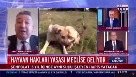 Yasa Değişikliğinde Dağ Fare Doğuracak - 2021