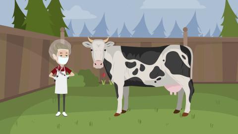 Çiftlik Hayvanları Gerçeği