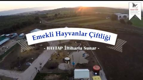 Haytap Emekli Hayvanlar Çiftliği -2020 Aralık ayı itibarıyla geldiğimiz aşama