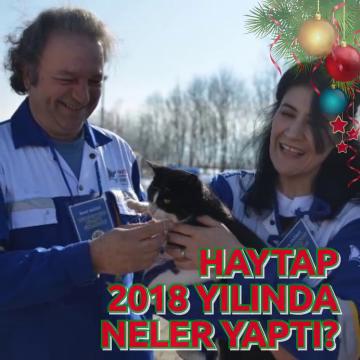 YIL YIL YAPTIKLARIMIZ