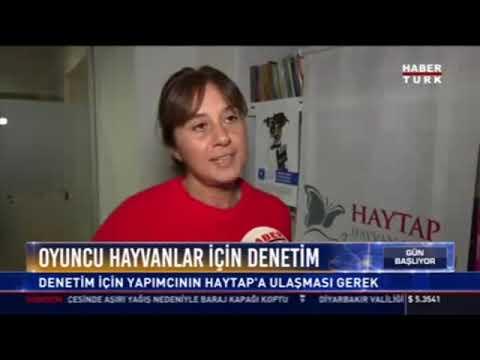 Sinemada hayvanların kullanımına Haytap onayı