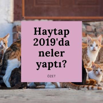 Haytap 2019'da Neler Yaptı? (Özet)