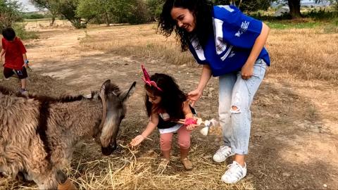 Osmaniye Çiftliğimizin İlk Misafiri; Sevgi Eşek