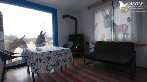Haytap Bursa Emekli Hayvanlar Çiftliğinde mutlu bir gün..