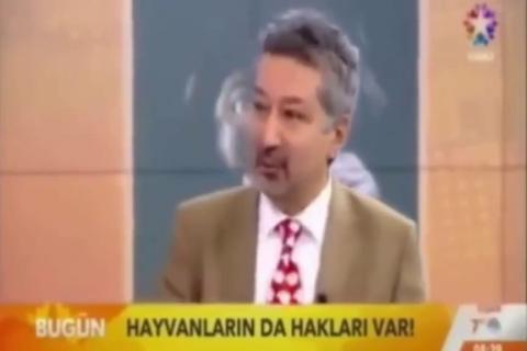 Ne yapmalıyız ? Nereye Başvurmalıyız ?