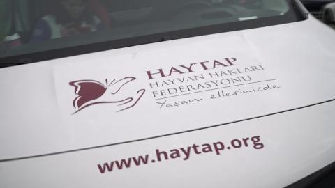 Fairmont & Haytap iş birliği