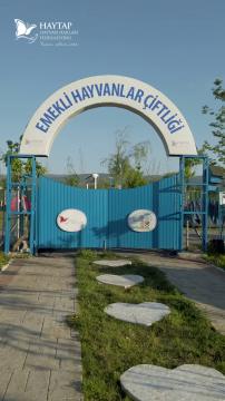 Afet bölgesinden gelen arkadaşlarımızla toplantı için Emekli Hayvanlar Çiftliğimizde toplandık