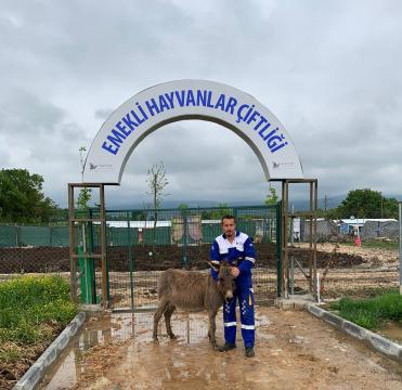 O, yavru sıpası olan bir anneydi