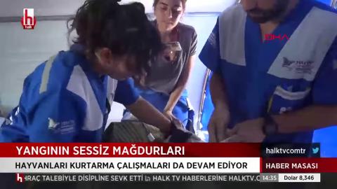 Haytap tarihe not düşüyor!…