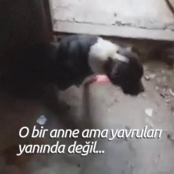 O bir anne ve çektiği acılar yüzünden kanser oldu...