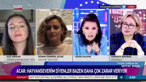 Hayvanları Hayvanseverlerden Koruma Derneği