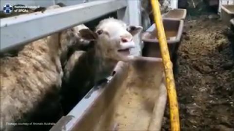 NASIL YOLCULUK EDİYORLAR - NASIL SUSUZ KALIYORLAR ?