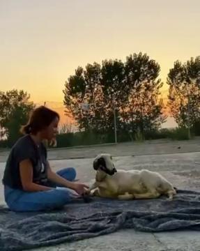 Manavgat'taki gönüllülerimizden