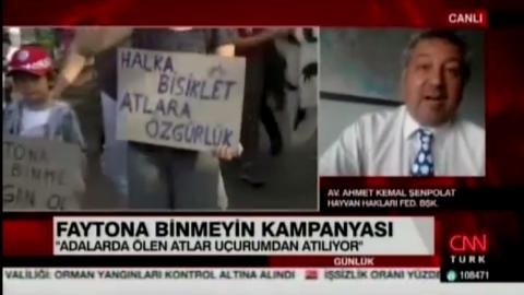 Haytap Fayton Atlarının Sona Ermesini İstiyor