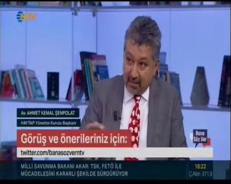Sokak hayvanlarının kontrolsüz artışı neden kaynaklanıyor ?  ( NTV Yayın Tarihi : 2019 )