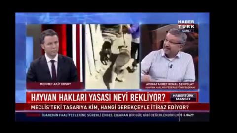 Hayvanlar insanlara saldırırsa sorumlu kim?