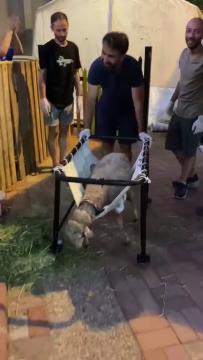 Haytap Sahra Hastanesi Çadırlarımızdan akılda kalan anılardan.