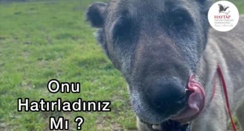 Bağışlarınızı nerelerde kullanıyoruz?