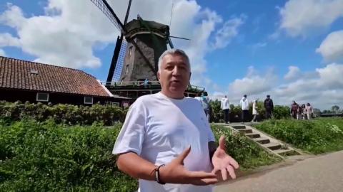 Vejetaryenlik / Veganlık