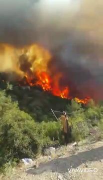 Haytap Yangın Kurtarma Çalışmaları