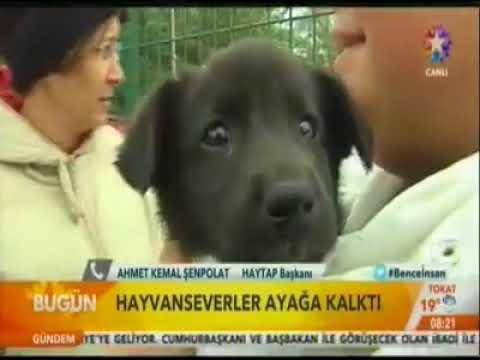 Bir belediyeci ile HAYTAP' lı Konuşması Arasındaki Fark!