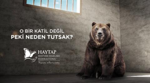 O Bir Katil Değil Peki Neden Tutsak?