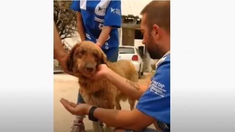 Manavgat'taki afet bölgesindeki çalışmalarımıza devam ediyoruz.