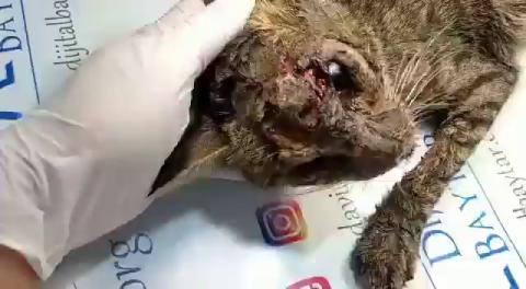 HAYTAP kurtarma ekipleri 5 bölgede çalışmalarını sürdürüyor!