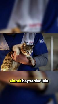 Bağışlarınızı nerelerde kullanıyoruz?