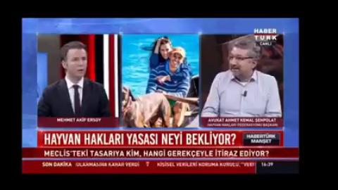 Sahipli Hayvanın Zehirlenmesi - Sahipsiz Hayvanlar Saldırıyor mu ? - Kamunun Görev İhmali