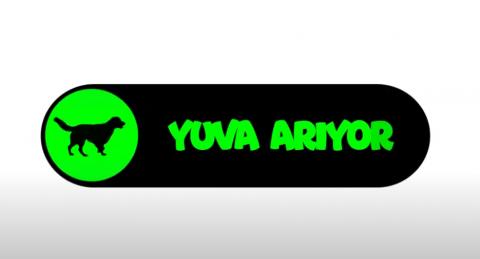 Yuva Arıyor Projesi