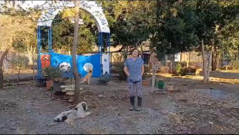 Haytap Emekli Hayvanlar Çiftliğinin Üçüncüsünü Yeni Yılla Birlikte Dalaman’da Açıyoruz