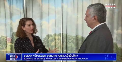 Sokak Hayvanları ve Hayvan Bakımevleri