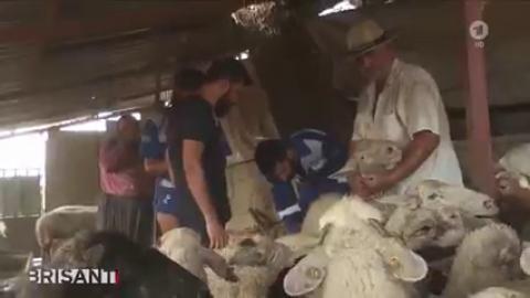 ALMANYA'NIN EN ÖNEMLİ KANALLARINDAN ARD'DE İDİK