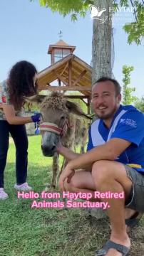 Emekli Hayvanlar Çiftliği'mizin en yaşlı üyesi Haytap ile tanışın; 'Aybala'.